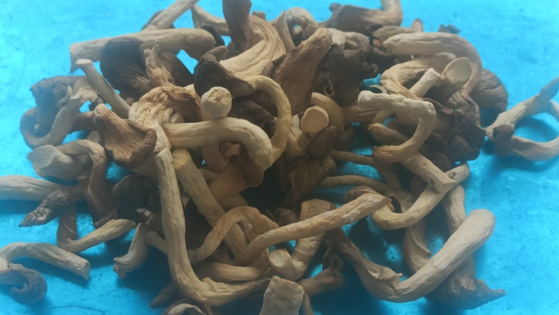 干制秀珍菇