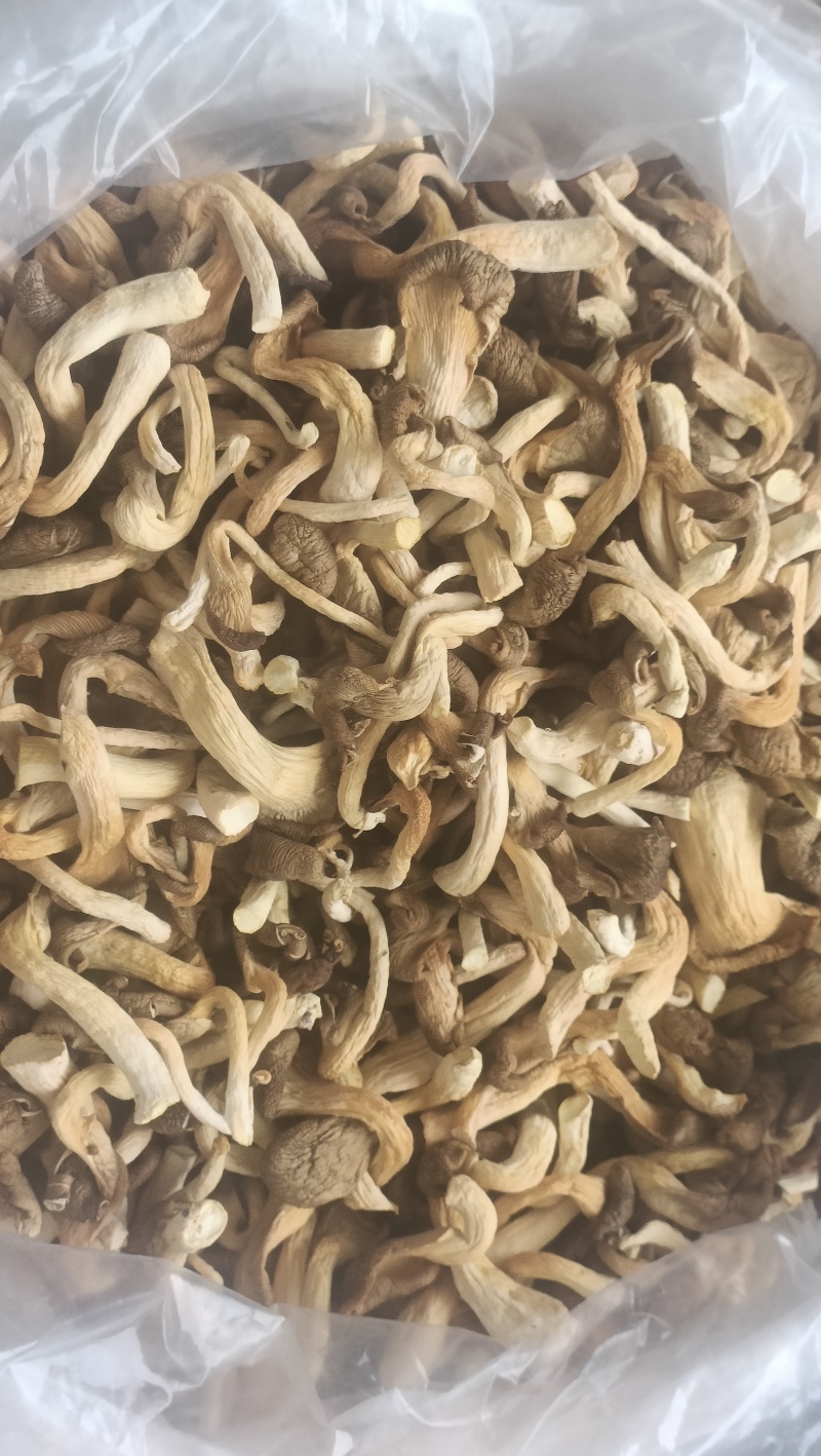 干制秀珍菇
