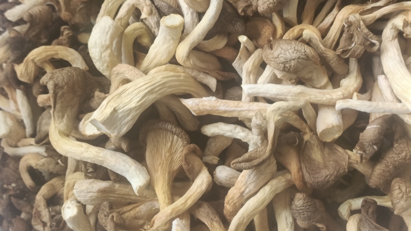 干制秀珍菇