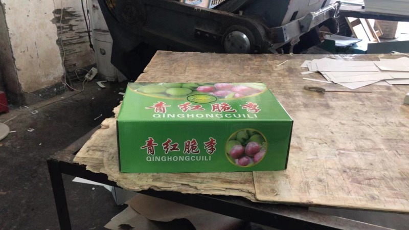 青脆李脱骨李空心李大量直供新鲜一手货源