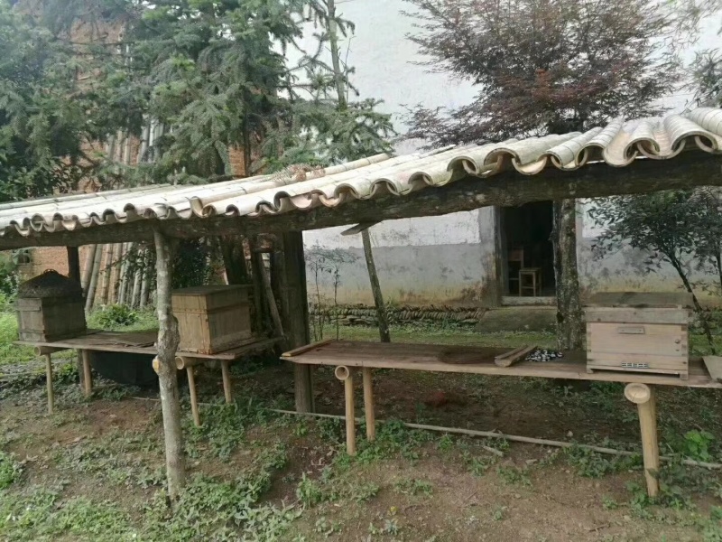 土蜂蜜