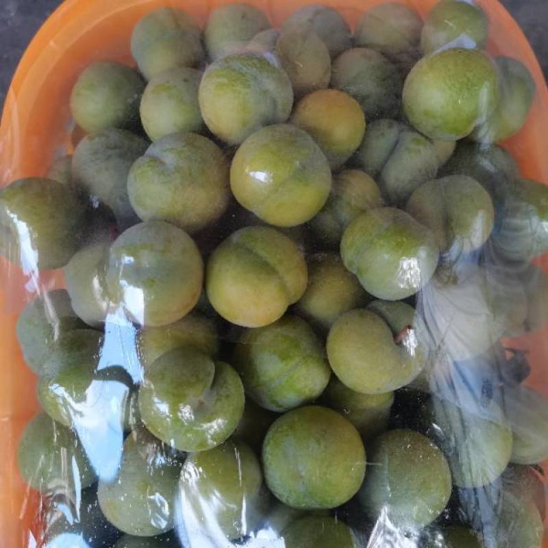 贵州特产蜂糖李，甜蜜多汁，天然绿色，限量供应，错过再等一年！