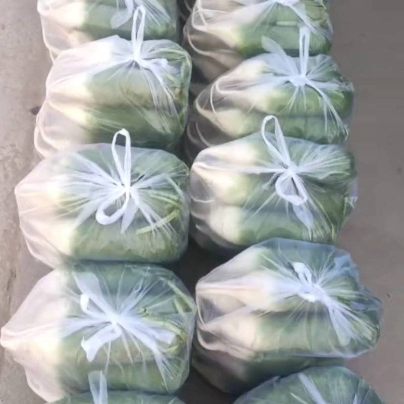 山东一级水洗青萝卜，山东A级精品青萝卜，山东精品水洗青萝