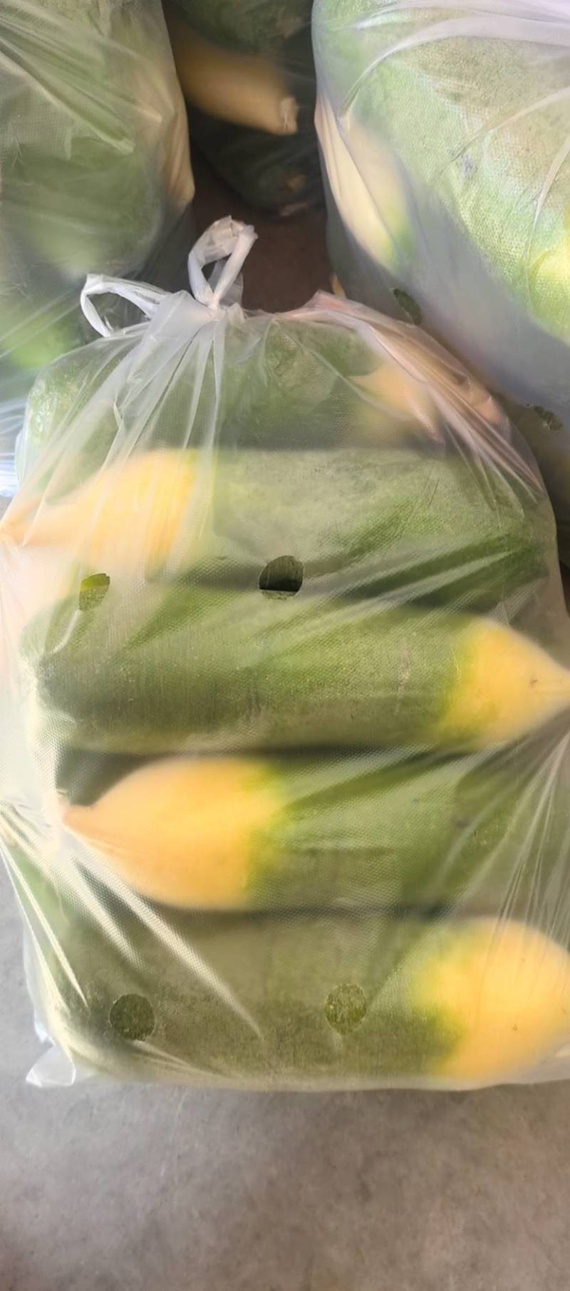 山东一级水洗青萝卜，山东A级精品青萝卜，山东精品水洗青萝