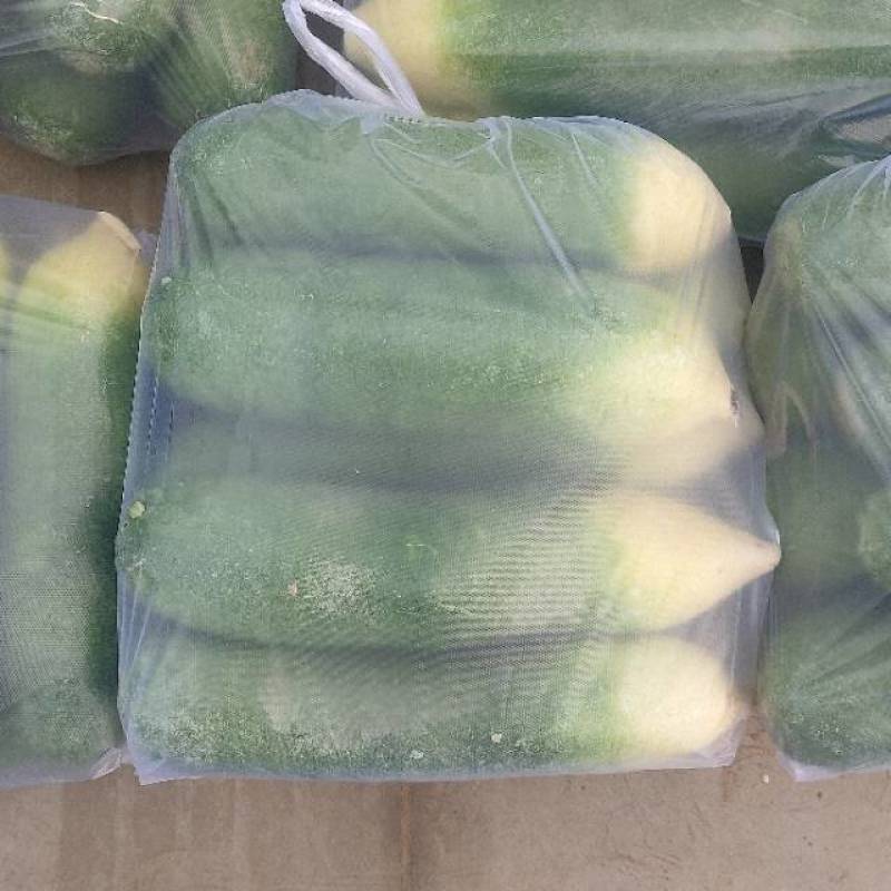山东一级水洗青萝卜，山东A级精品青萝卜，山东精品水洗青萝