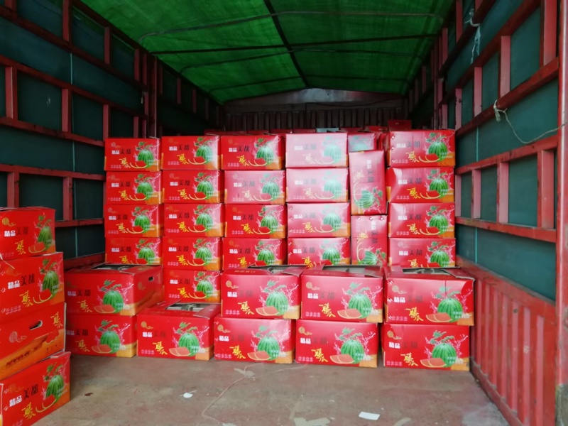 产地河北固安精品麒麟西瓜大量上市，瓜型正，甜度高，口感好