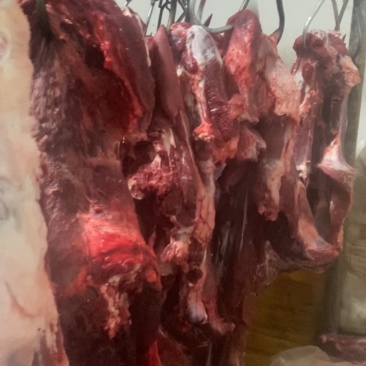 纯干货！国产黄牛牛肉！每天大量现货！