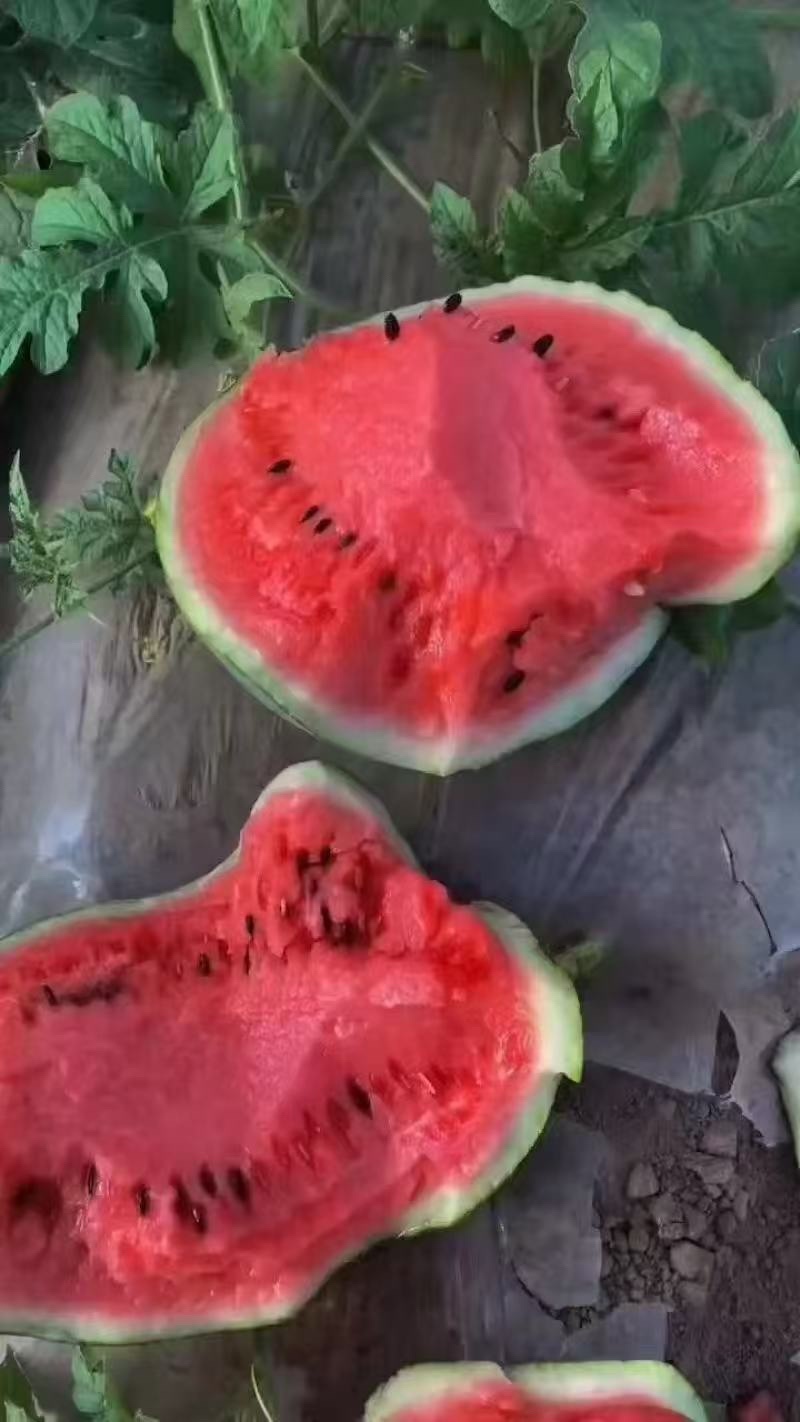 陕西渭南产地一手货源