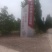 山核桃