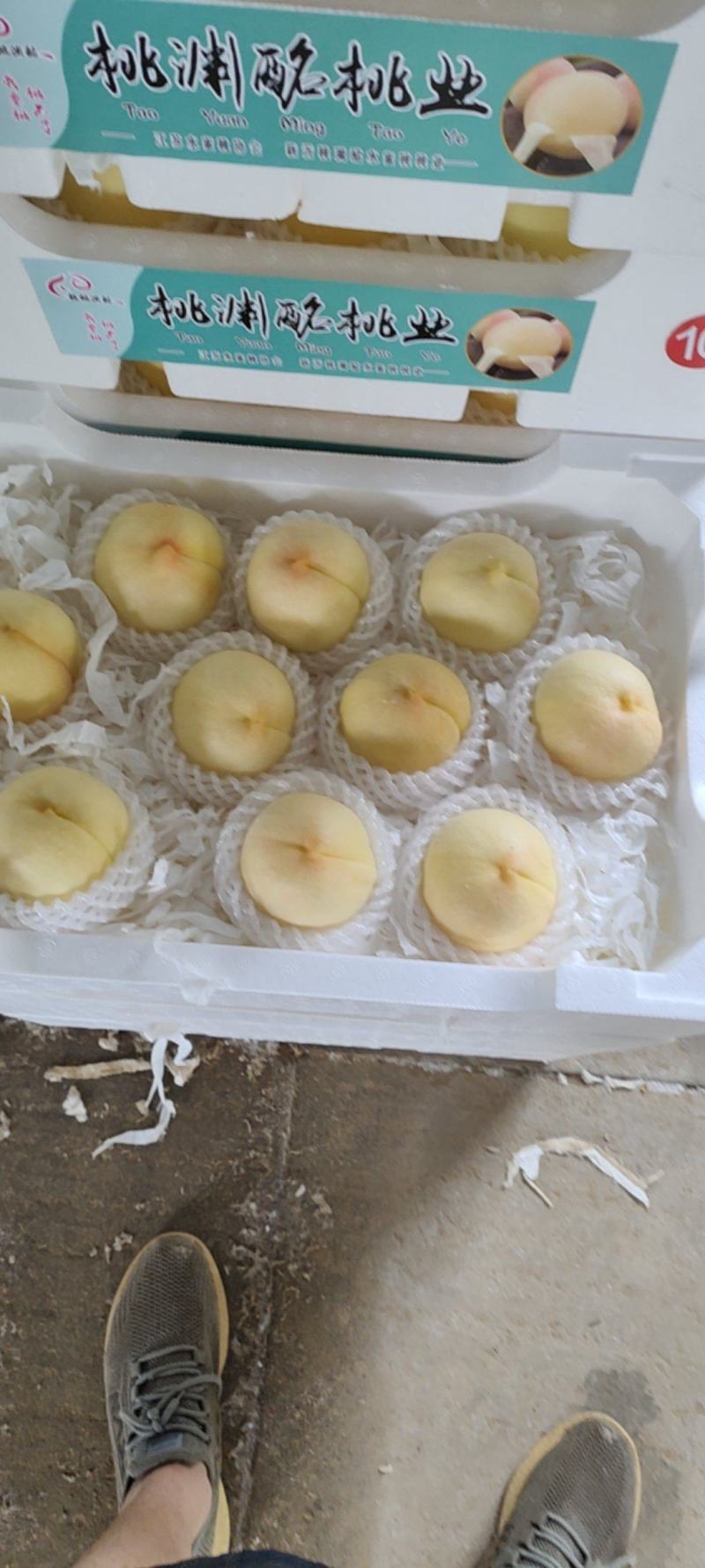 水蜜桃上市了