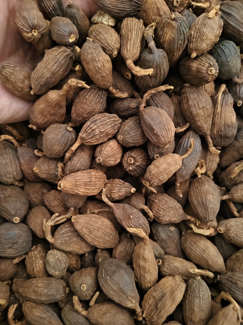 草果正宗云南草果批发零售