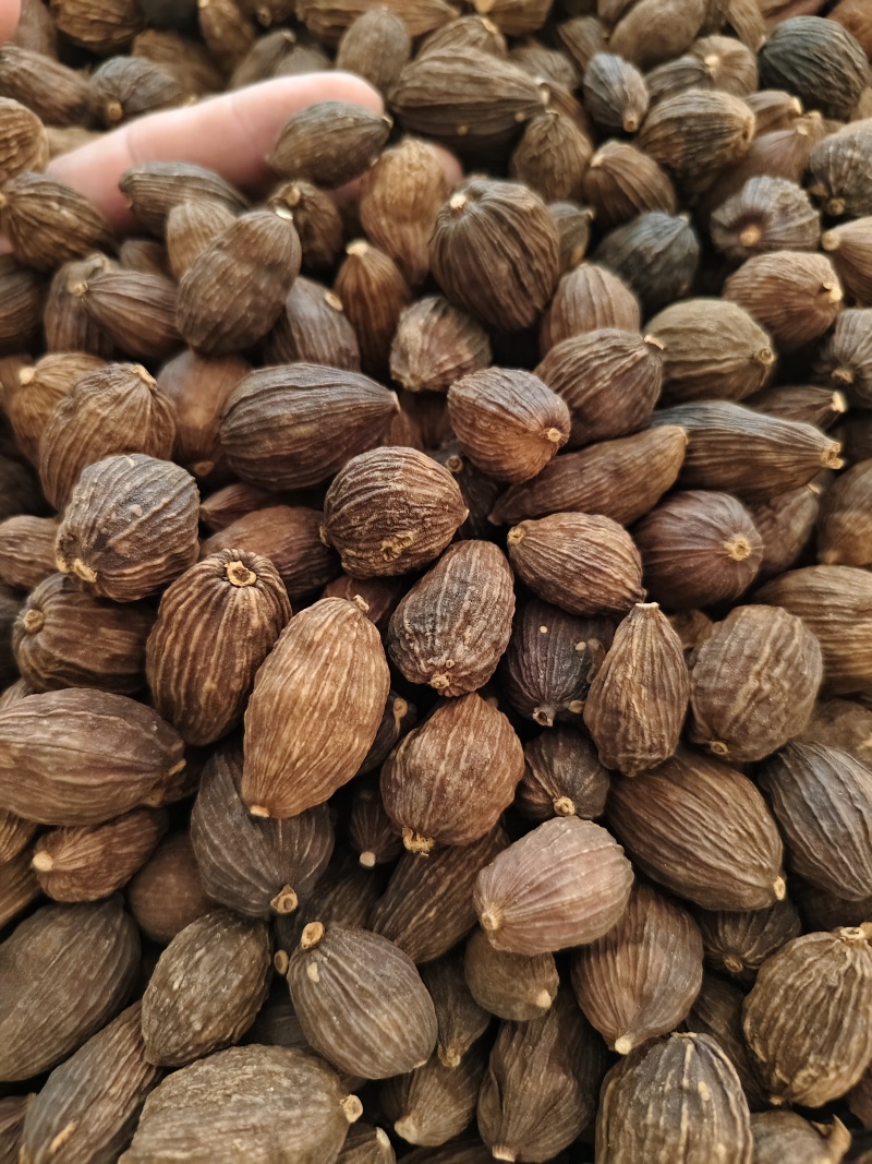 草果正宗云南草果批发零售
