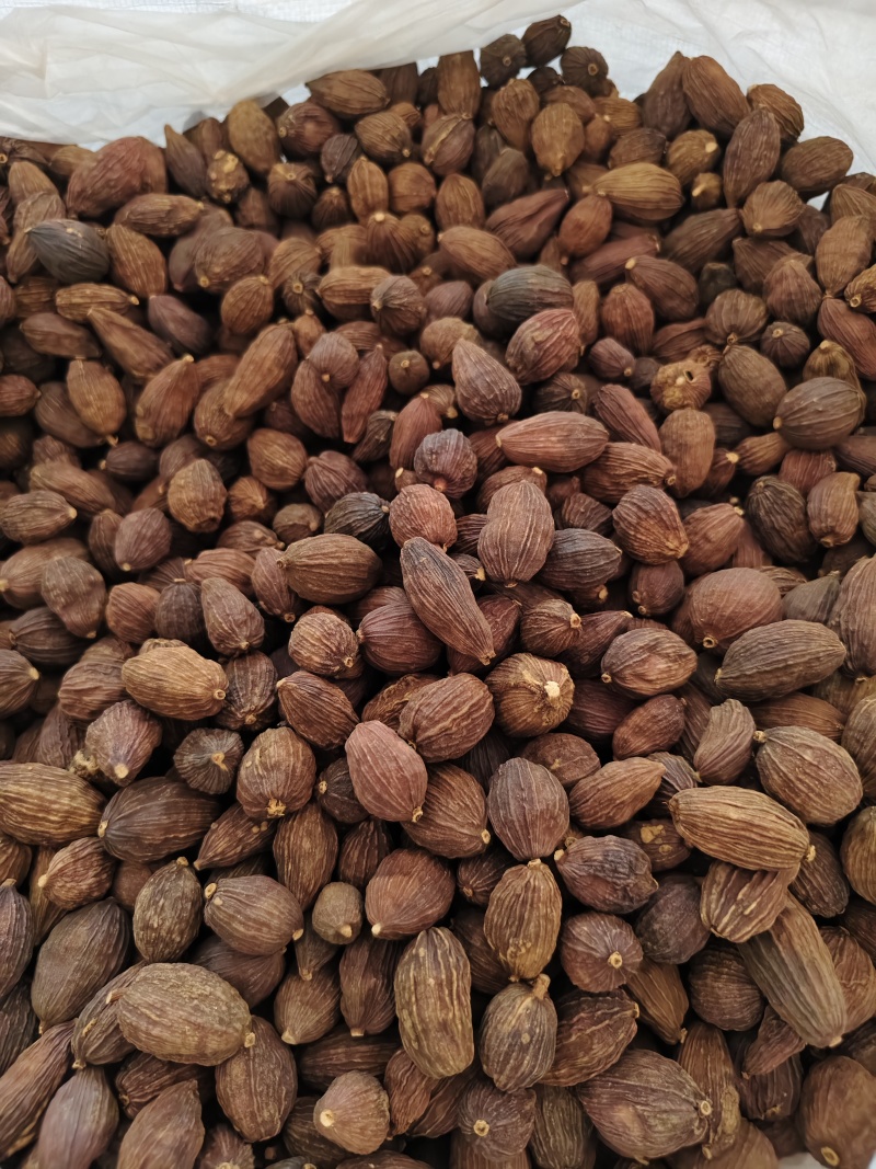 草果正宗云南草果批发零售