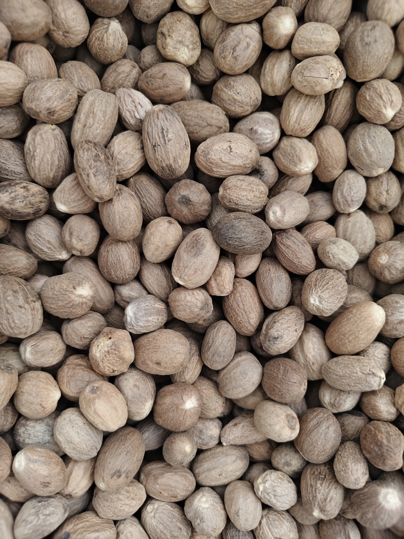 正宗肉豆蔻各种规格肉豆蔻齐全量大优惠