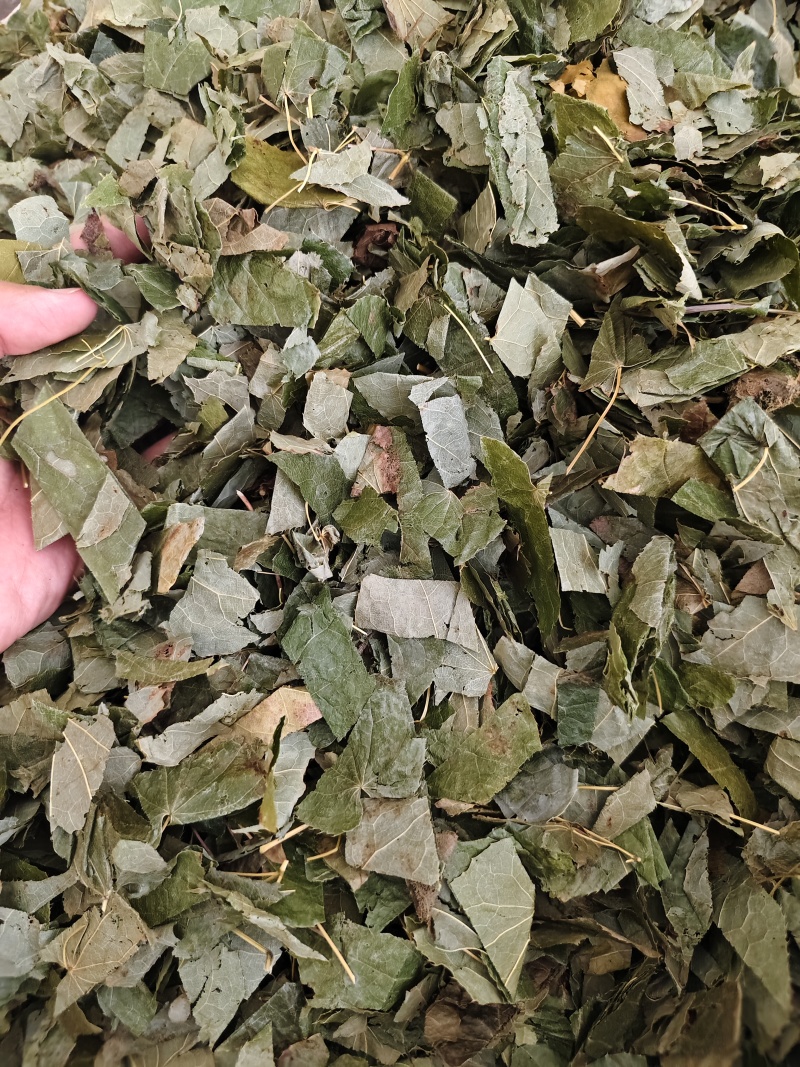 中药材新货东北淫羊藿四川淫阳藿各种规格
