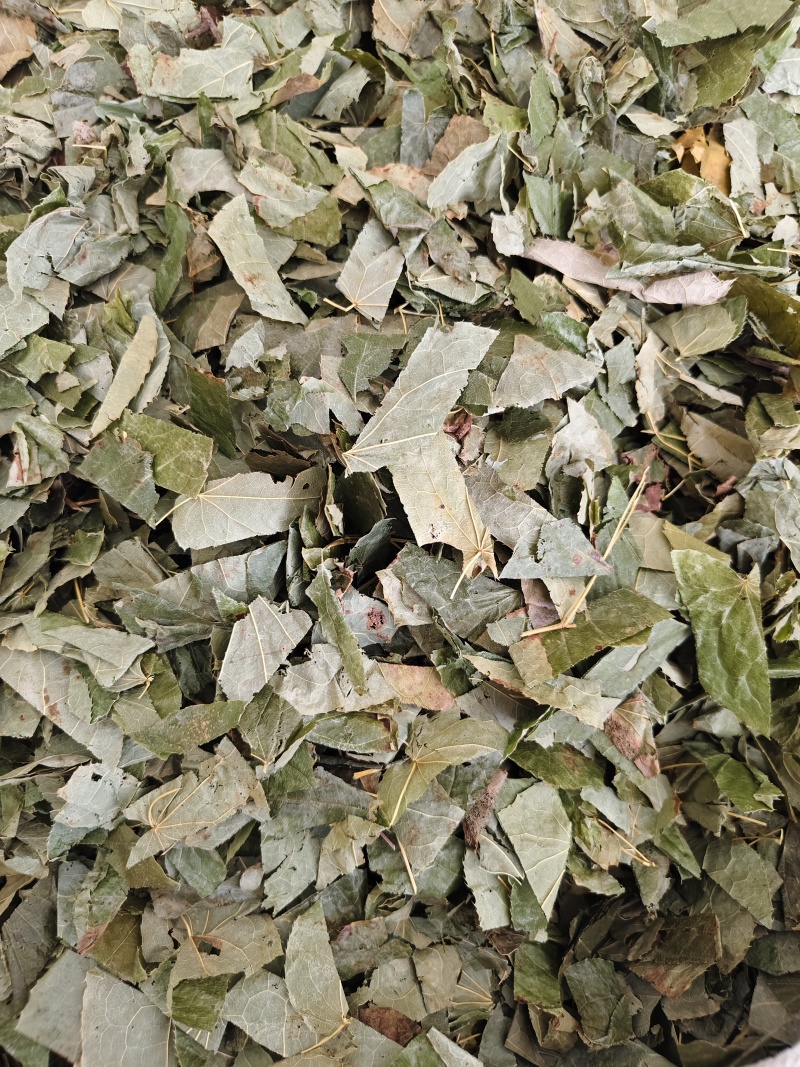 中药材新货东北淫羊藿四川淫阳藿各种规格