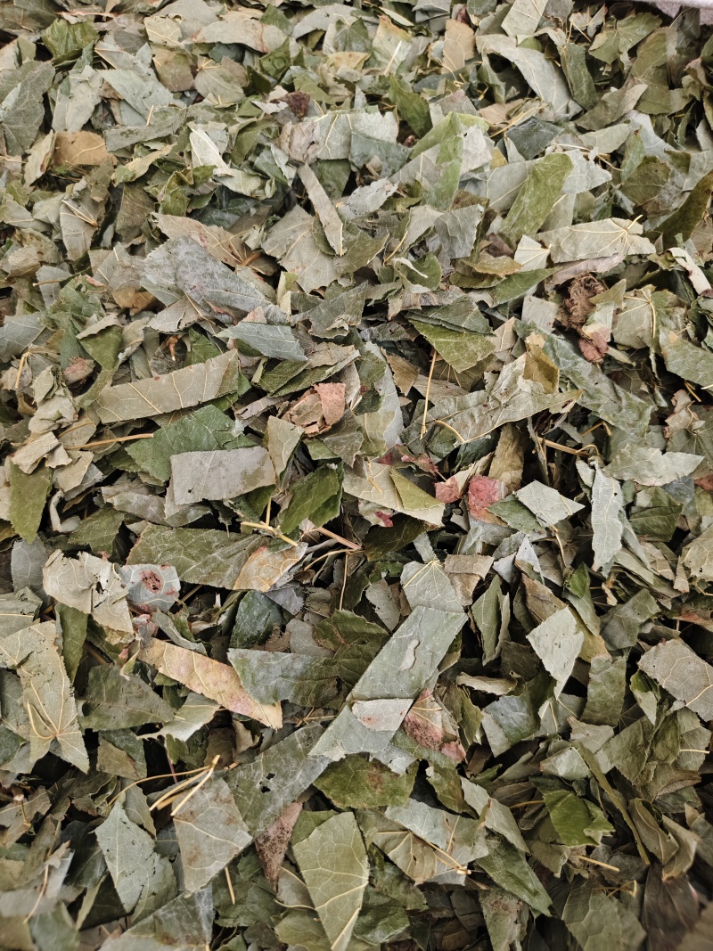 中药材新货东北淫羊藿四川淫阳藿各种规格