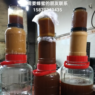 蜂蜜