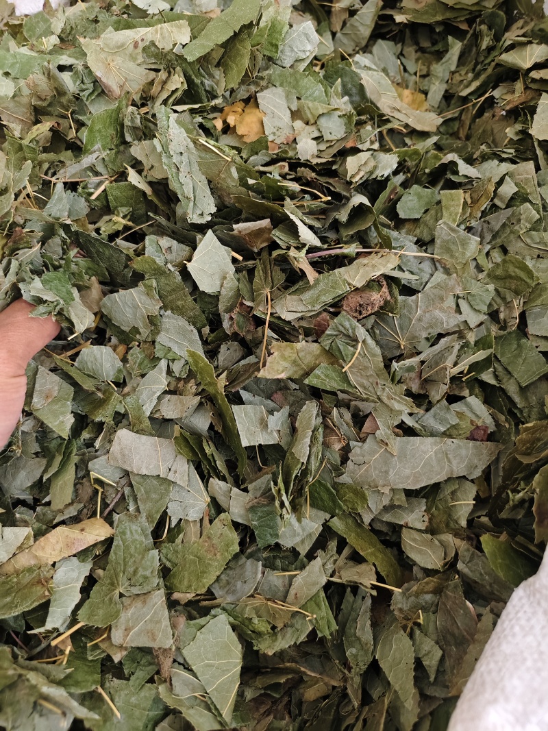 中药材新货东北淫羊藿四川淫阳藿各种规格