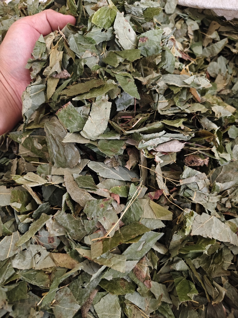 中药材新货东北淫羊藿四川淫阳藿各种规格