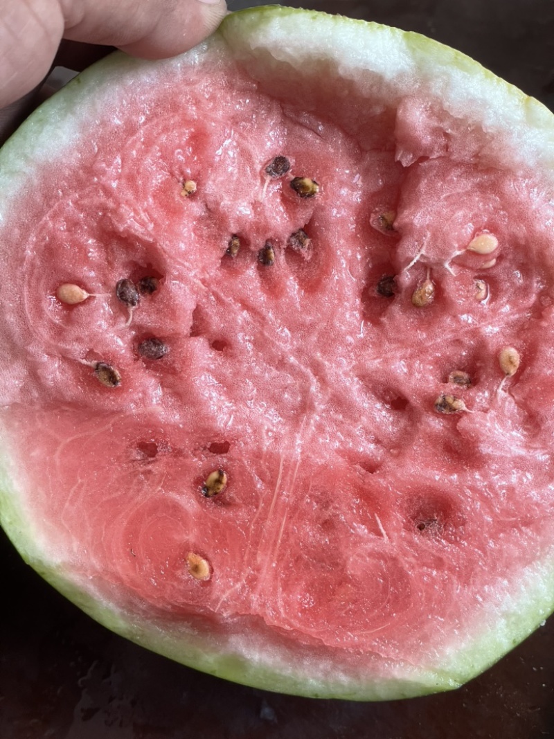 龙卷风系列