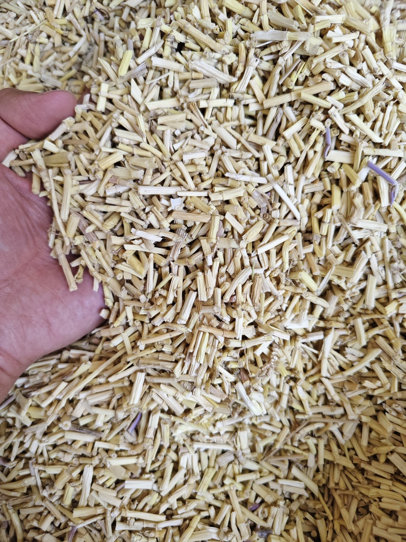 白茅根中药材白茅根各种规格批发零售