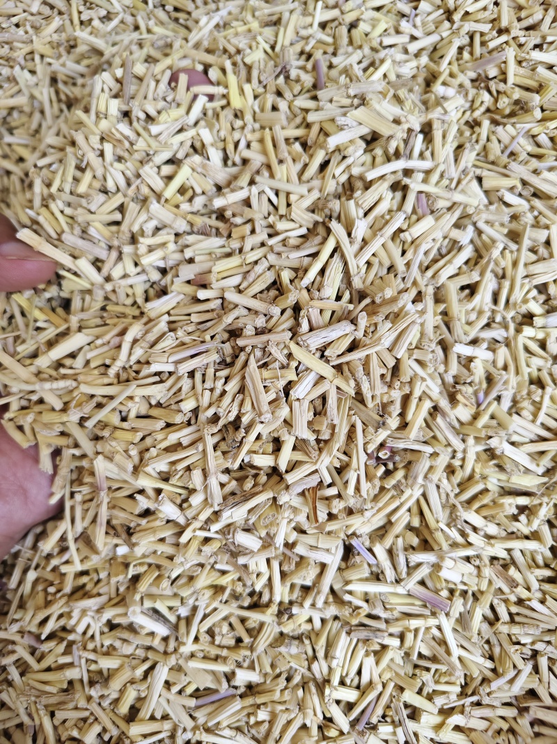 白茅根中药材白茅根各种规格批发零售