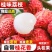 桂味荔枝代发，批发代收