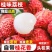 桂味荔枝代发，批发代收