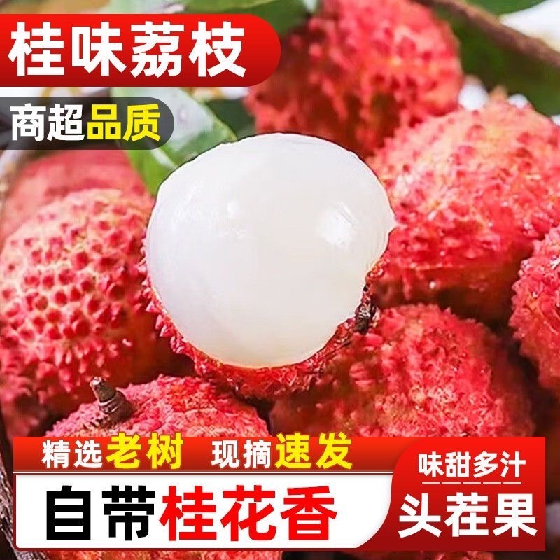 桂味荔枝代发，批发代收