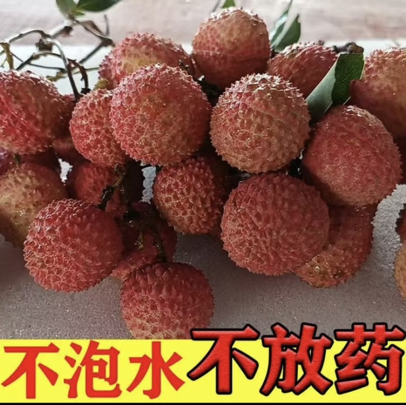 桂味荔枝代发，批发代收