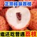 桂味荔枝代发，批发代收
