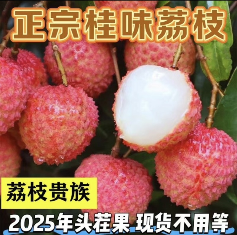 桂味荔枝代发，批发代收