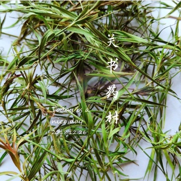 竹叶选关书药业批发中药材花果茶