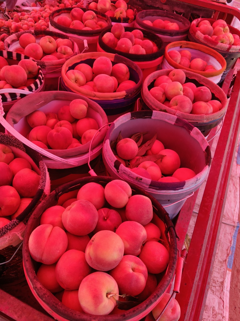 陕西省大荔突围毛桃大量上市，可大量供应市场，电商，商超