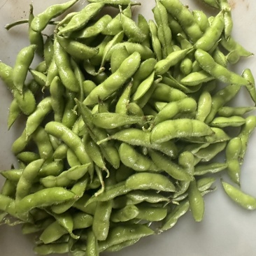 翠绿宝毛豆大量上市