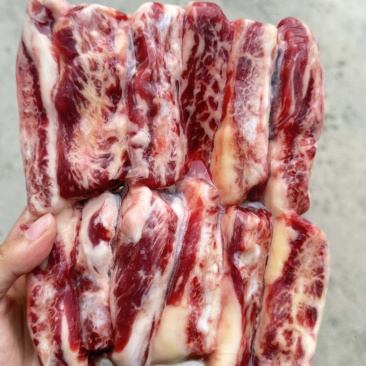 安格斯后胸条