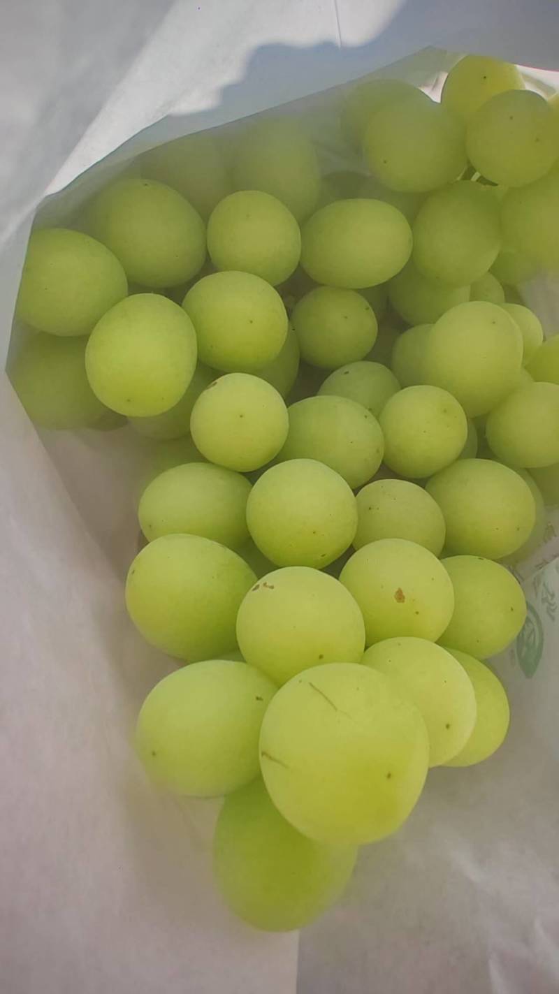 宾川优无核