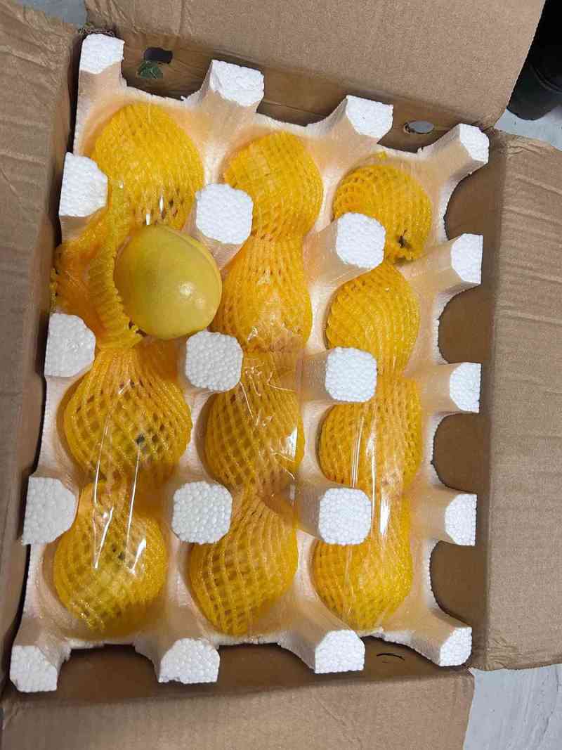 《一件代发》黄红油桃彩虹黄蟠桃主播达人电商团购