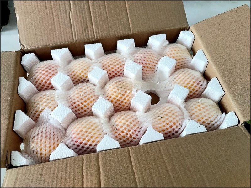 黄桃蟠桃锦香黄金蜜黄蟠桃彩虹蟠桃