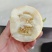 【推荐】河南许昌鄢陵美浓甜瓜供应市场商超电商