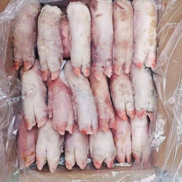 猪蹄