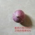 独头蒜云南紫皮全干新鲜基地直发批发