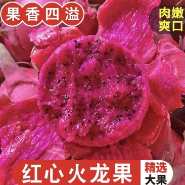 精品红心火龙果大量上市对接市场电商欢迎来电咨询