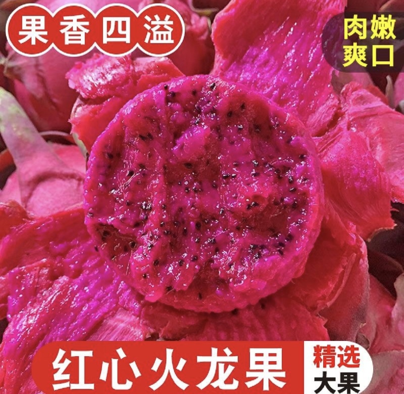 精品红心火龙果大量上市对接市场电商欢迎来电咨询