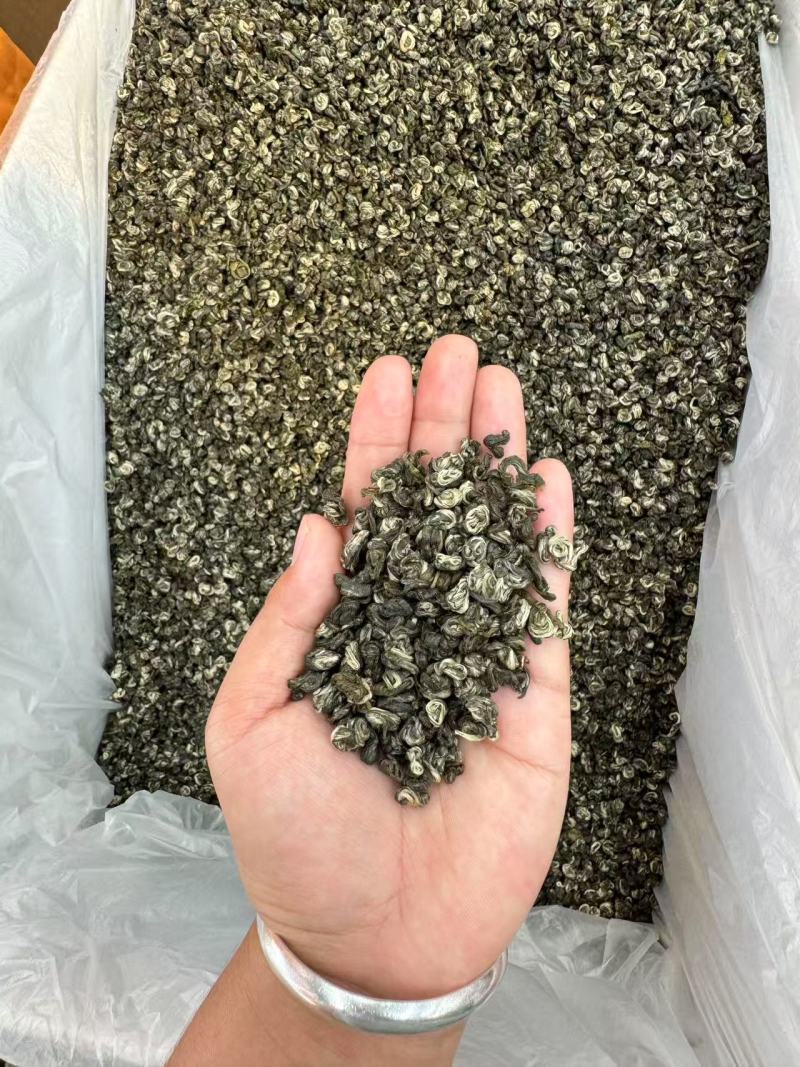 普洱生态古树绿茶