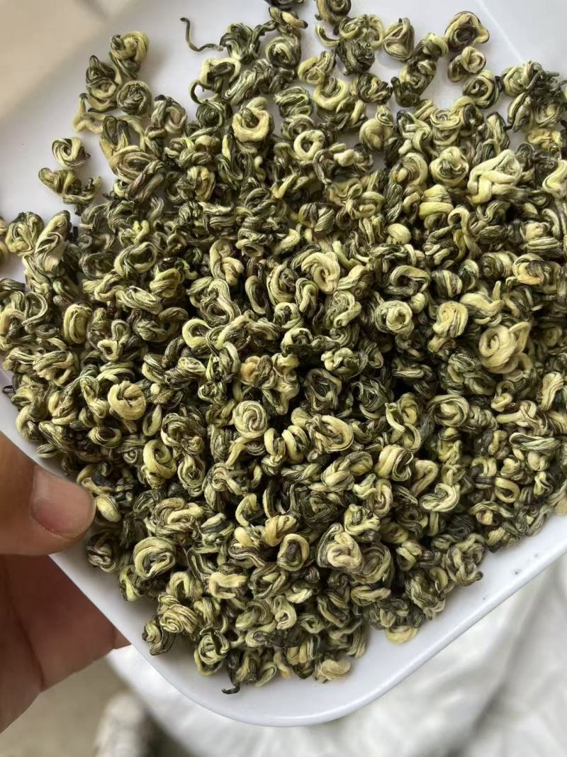 普洱生态古树绿茶