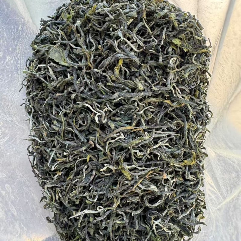 普洱生态古树绿茶