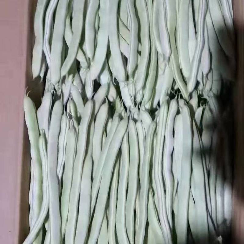 产地直发大量现货百不老！白云豆！