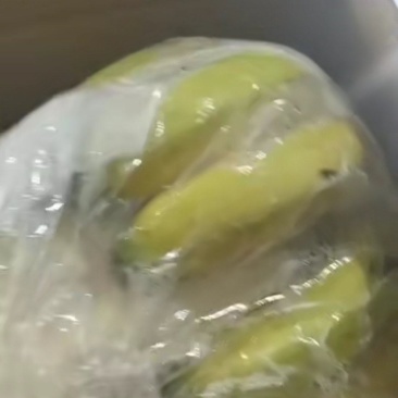 产地直发，价格合适。